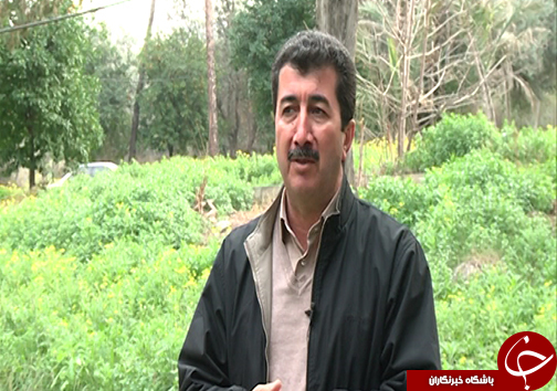 مهمان زمستانی گرمابخش زندگی کشاورزان