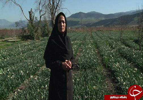 مهمان زمستانی گرمابخش زندگی کشاورزان