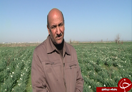 مهمان زمستانی گرمابخش زندگی کشاورزان
