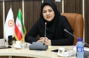 راه اندازی مراکز کارآفرینی روزانه، در راستای حمایت از زنان آسیب دیده