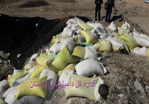 ضبط و امحا ۱۶ تن کنجاله سویا درخرم آباد