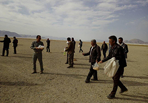 دانه پاشی دوستداران محیط زیست برای پرندگان