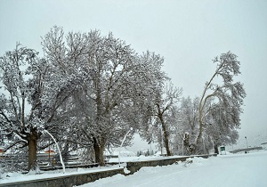 باران و برف در انتظار قمی ها