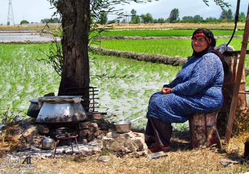 نگاهی گذرا به مهمترین رویداد&zwnj;های پنج شنبه ۵ بهمن ماه در مازندران