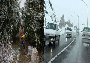 هشدار زمستانه هواشناسی مازندران