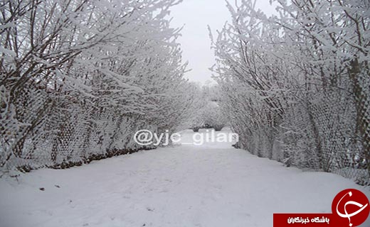 آغاز بارش برف در برخی از نقاط گیلان