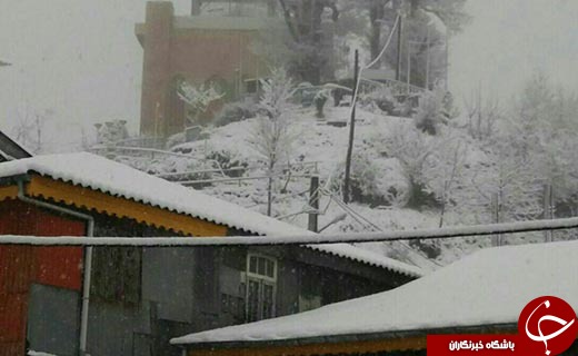 آغاز بارش برف در برخی از نقاط گیلان