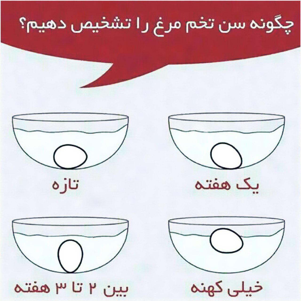 سن تخم&zwnj;مرغ را چگونه تشخیص دهیم