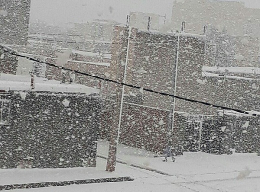 آغاز بارش برف در استان مرکزی / امشب اوج بارش ها  + عکس