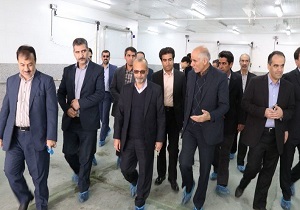 بررسی مشکلات کشتارگاه صنعتی شیرکوه