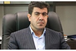 پیگیر وام شهریه دولتی برای دانشجویان هستیم/50میلیارد تومان وام شهریه به دانشجویان دکتری از سال تحصیلی تاکنون پیگیر وام شهریه دولتی برای دانشجویان هستیم/50میلیارد تومان وام شهریه به دانشجویان دکتری از سال تحصیلی تاکنون
