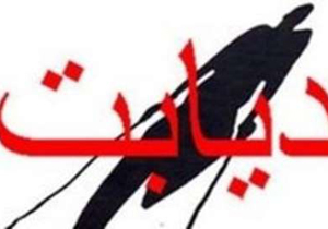 میزان ابتلا به دیابت در آران و بیدگل دو درصد بیشتر از میانگین کشور