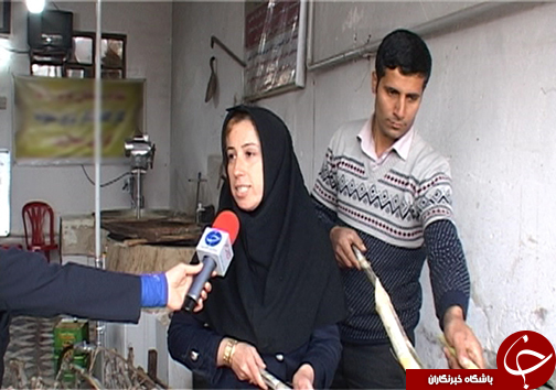 زمستان شیرین مازندرانی&zwnj; ها با برداشت شکر سرخ