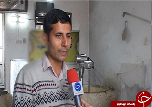 زمستان شیرین مازندرانی&zwnj; ها با برداشت شکر سرخ