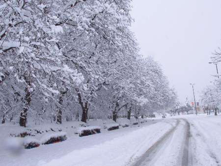بارش ۳۰ سانتی متری برف در لاریجان