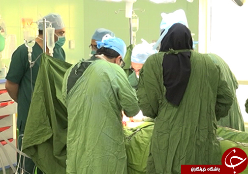 شیراز از مهمترین مراکز پیوند اعضا در جهان/ رکوردشکنی شیراز در پیوند کبد
