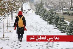 ساعات کار دانشگاه های اردبیل فردا با تاخیر شروع می شود