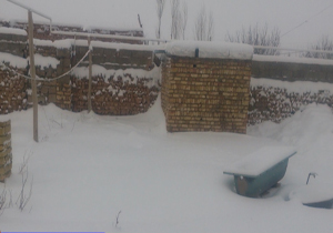 روستای "زرین‌گل" از برف سفیدپوش شد + فیلم