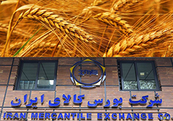 شاپرک، در تور تاخیرهای پرداخت  + صوت