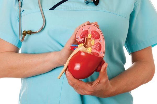 راههای پیشگیری از سنگ کلیه