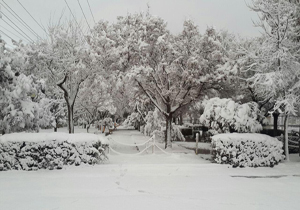 میزان بارش ۲۴ ساعت گذشته در چهارمحال و بختیاری