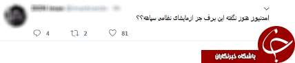 شوخی برفی کاربران توییتر با دروغ&zwnj;های شاخ&zwnj;دار آمدنیوز +تصاویر