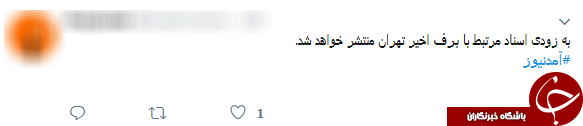 شوخی برفی کاربران توییتر با دروغ&zwnj;های شاخ&zwnj;دار آمدنیوز +تصاویر
