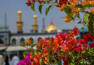 پیش ثبت نام سفر&zwnj;های نوروزی عتبات عالیات آغاز می&zwnj;شود