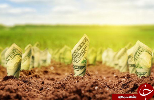 اصل مهم برای راه&zwnj;اندازی کسب و کار خودتان