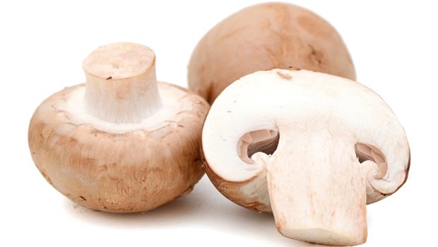 مظنه انواع قارچ در میادین میوه و تره بار