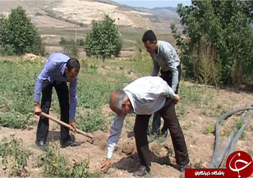 سد&zwnj;ها ناجی کشاورزان مازندران در روز&zwnj;های کم آبی و خشکسالی