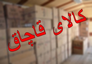 کشف فن کوئل قاچاق در یزد