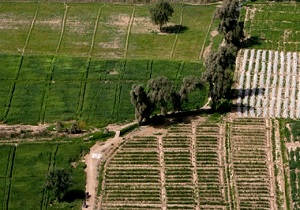 واگذاری زمین های کشاورزی به افراد واجد الشرایط