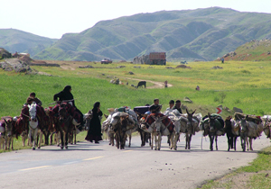 ۲۰ اردیبهشت ۹۷ زمان ورود دام عشایر به چهارمحال و بختیاری