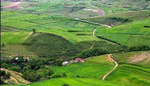 برگزاری همایش دانش آموزی استانی حفاظت از محیط زیست در میانه