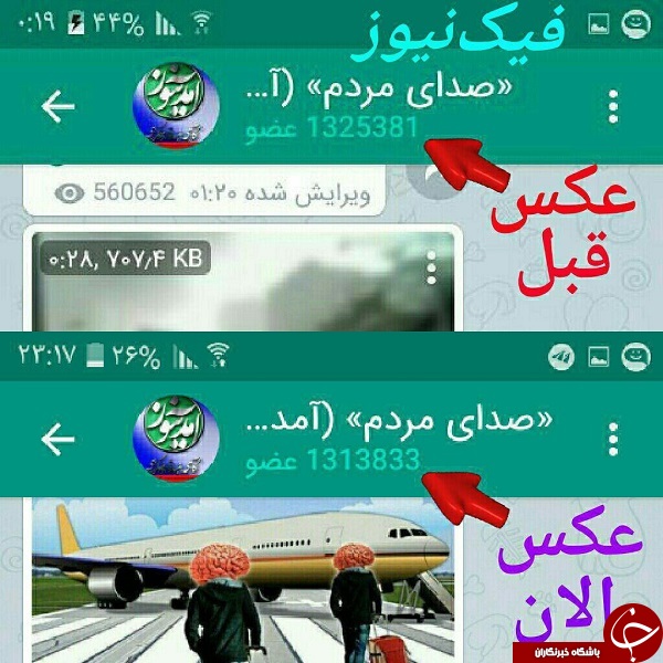 ریزش عضو