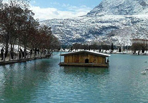 شیوع بیماری آنفلوانزا در پرندگان دریاچه کیو