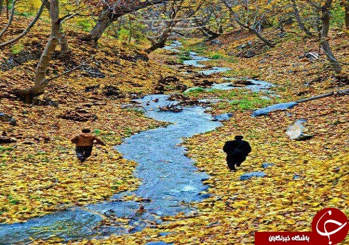 همه ما با هم  قرار سبز می گذاریم