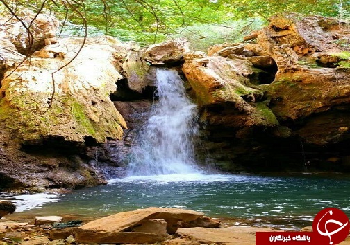 همه ما با هم  قرار سبز می گذاریم