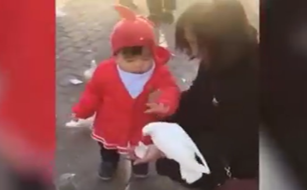 حرکت خنده دار دختر خردسال جهانی شد+فیلم