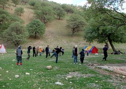 تشدید گشت و کنترل یگان حفاظت محیط زیست در ایام نوروز