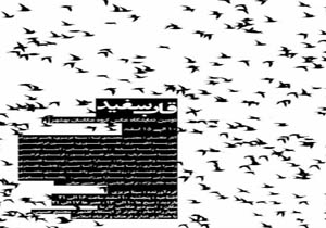 گشایش نمایشگاه عکس قاب سفید در بهشهر