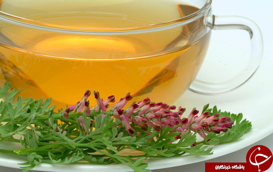 گیاهی دارویی که خونتان را تصفیه می&zwnj;کند