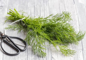 برای کسانی که اشتهای زیادی ندارند و لاغرند