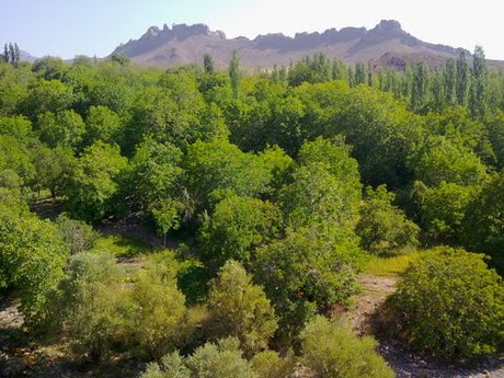 رابُر؛ شهر خیر(ویژه نوروز)