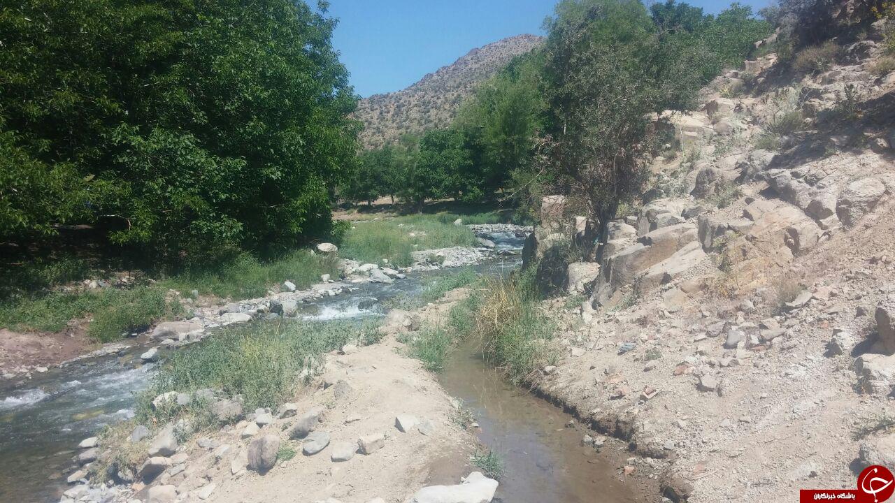 رابُر؛ شهر خیر(ویژه نوروز)