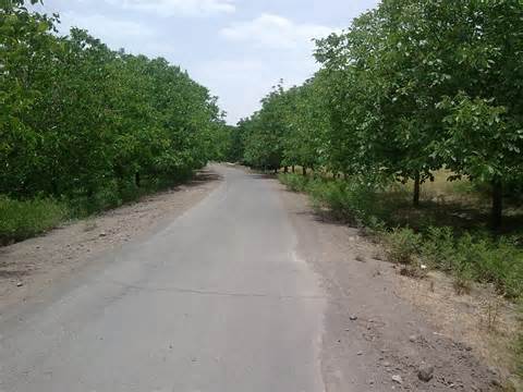 رابُر؛ شهر خیر(ویژه نوروز)