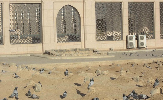 سلام بر بانوی مرد آفرین