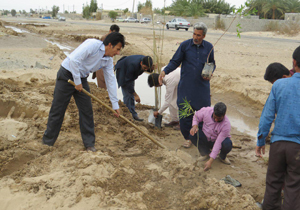 کمربندی سبز به دور روستاهای طوفان زده ریگان