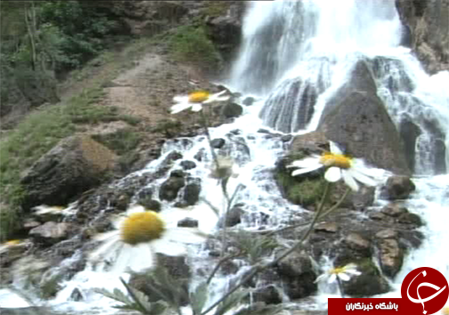 آبشار آب سفید عروس آبشار&zwnj;های ایران / آبشاری که از دل صخره بیرون می&zwnj;زند+ تصــاویر